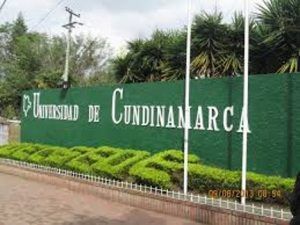 Por conflicto de interés recusan a Consejo Superior de U. de Cundinamarca