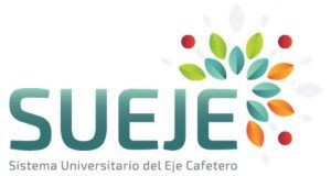 Cuestionan contrato de alcaldía menor de Bogotá con SUEJE, por obras locales