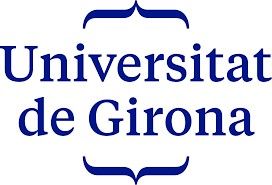 Riesgos de volcar todo a la virtualidad: Profesores U. Girona – junio / 20
