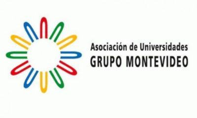 ¿En univ. públicas, es obligatorio elegir al candidato ganador de la consulta?