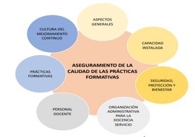 CITHS pide a IES conceptos sobre modelo Docencia – Servicio y especializaciones afines