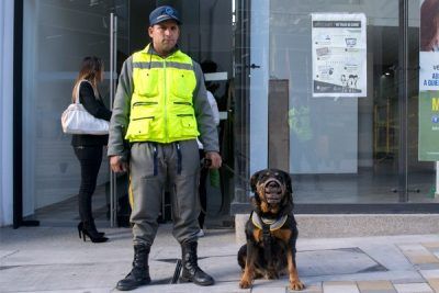 Universidades comienzan a dejar de usar perros en labores de vigilancia