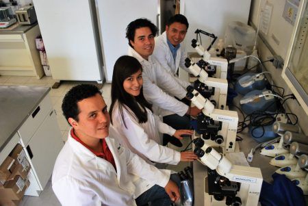 Ideas previas a reglamentación para que centros e inst. de inv. oferten maestrías y doctorados
