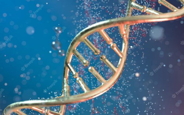 Bioingeniería, carrera con enorme proyección mundial y poca oferta en Colombia