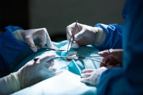 Cárcel para médicos que habrían engañado a Mineducación en la convalidación de sus títulos