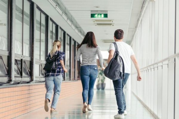 Sistema de educación inicia 2024 con 286 IES con oferta efectiva de programas
