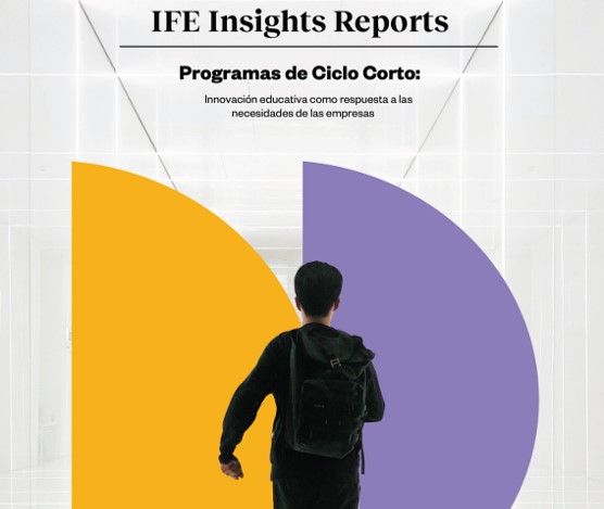 Los PCC, ¿formación previa, complementaria o competencia de los programas de educación superior?