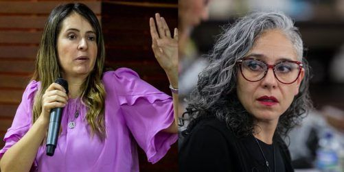 Ley estatutaria: Aumenta preocupación del gobierno por demora en debate en el Senado