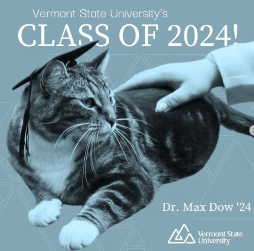 ! Universidad de Estados Unidos entrega doctorado honoris causa a un gato !
