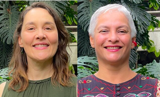 Democracia, representación y transparencia la designación rectoral: Claudia Puerta Silva y Yadira Borrero Ramírez