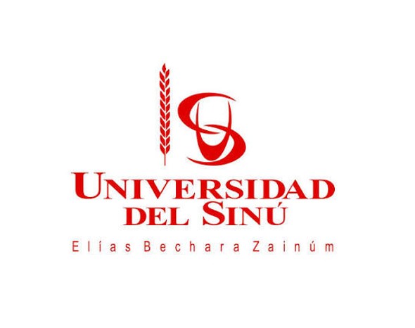 Docente de Ingeniería Electrónica