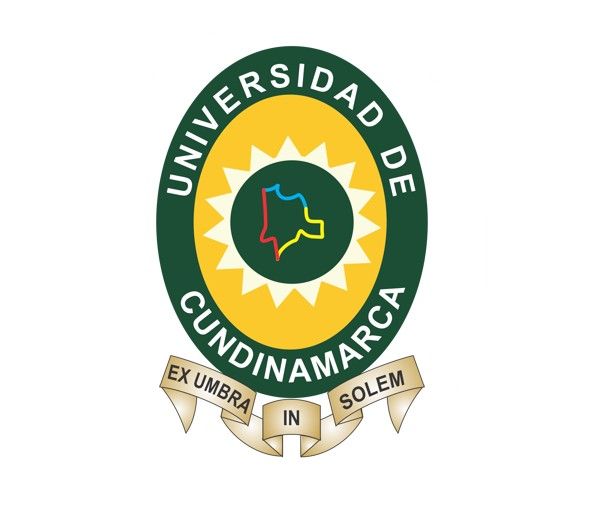 Docente de Ingeniería de Sistemas: U. de Cundinamarca