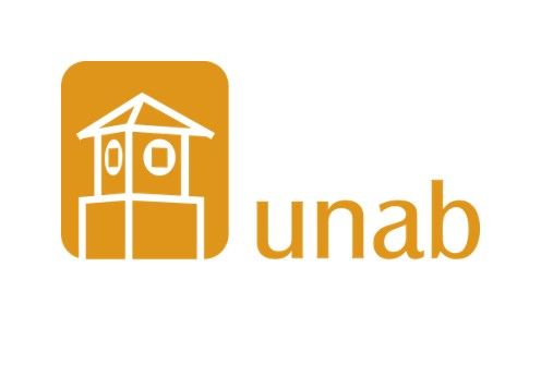 Docente Licenciatura en Educación Infantil: UNAB